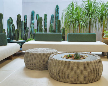 Indoor Garden in the Living Room: Charm, Freshness, and Comfort for Any Space