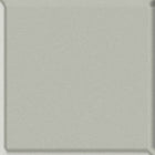 53 Warm Gray