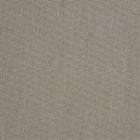 55 Acapulco Beige