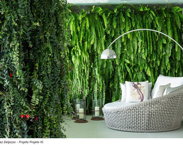 When Space Becomes Experience: How the Environment Shapes Customer Perception