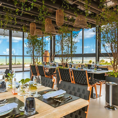 Restaurants That Create Experiences Beyond Flavor: Designed to Welcome