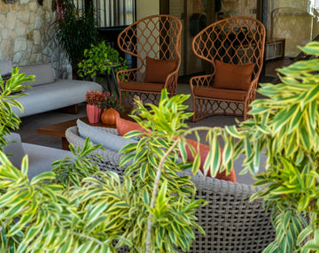 An Armchair in the Entrance Hall: A Charming Welcome