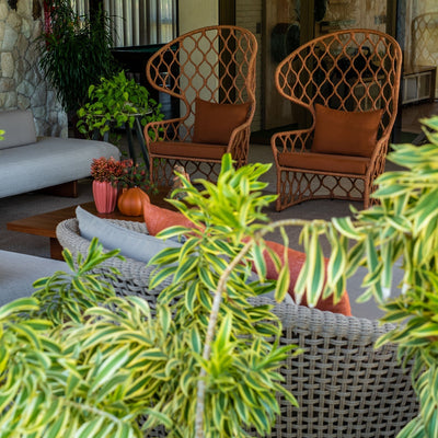 An Armchair in the Entrance Hall: A Charming Welcome