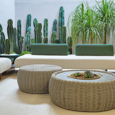 Indoor Garden in the Living Room: Charm, Freshness, and Comfort for Any Space