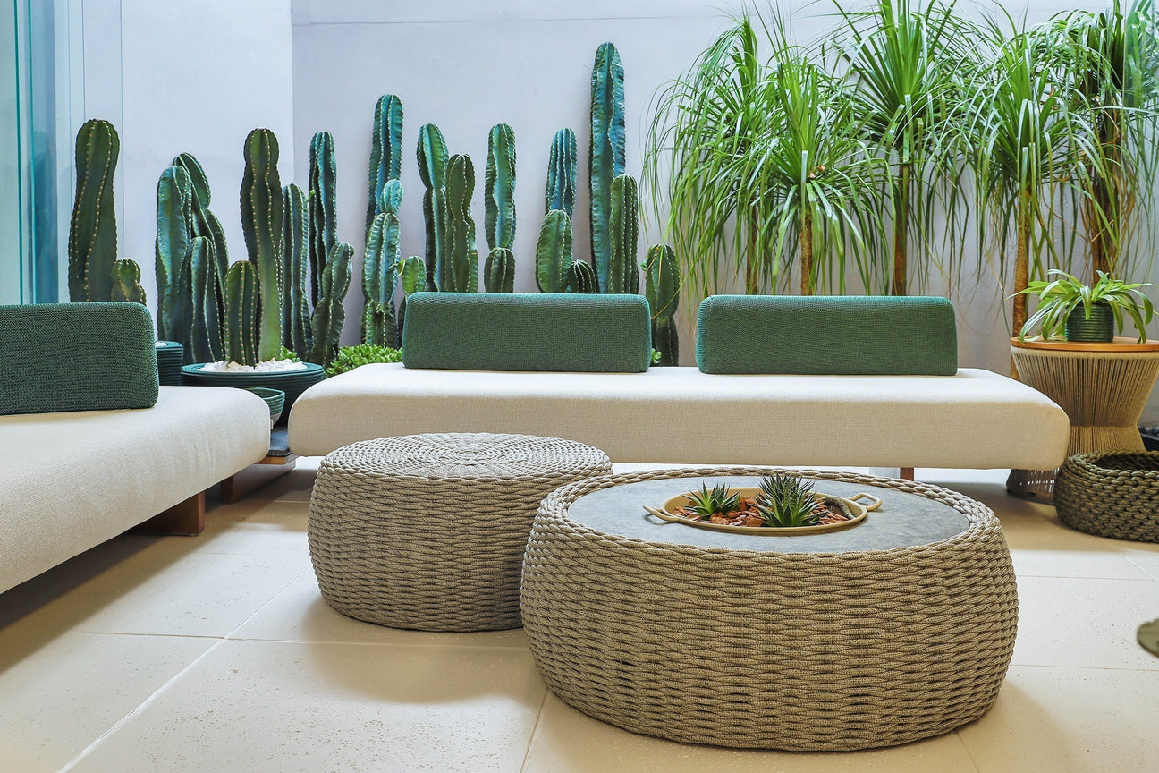 Indoor Garden in the Living Room: Charm, Freshness, and Comfort for Any Space