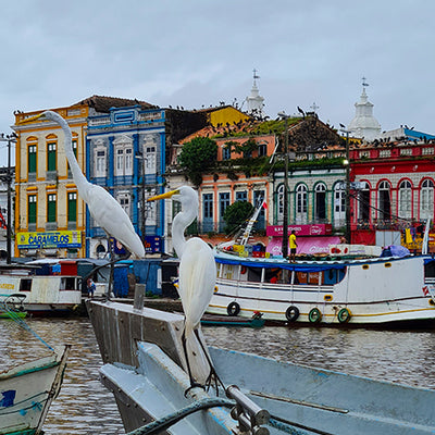 Immerse yourself in the beauty of Belém: Outdoor Experience by Tidelli