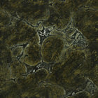 GR15 - Vitoria Regia - D